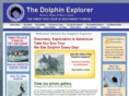 dolphin-explorer.com