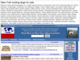 newyorkhuntingdogs.com