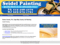seidelpaintingllc.com