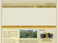 sfi-egypt.com