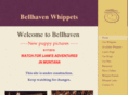 bellhavenwhippets.com