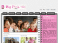 bigpinkbook.com