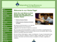 birminghamilc.org