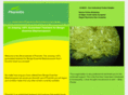 pharmitin.com