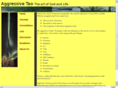 aggressivetao.com
