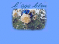 l-age-bleu.com