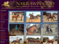 narrawin.com