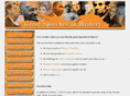 thespeeches.com
