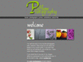 patparnow.com
