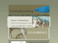 plumberindeerfieldbeachbest.com