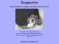 beagles4me.com