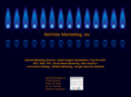 netvidamarketing.com