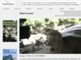 visualjourneys.net