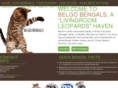 belgobengals.com