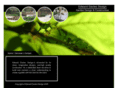 edwarddaviesdesign.com