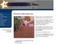 elitecarpetcareinc.com