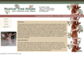 musicaltreehouse.com
