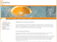 osca.nl