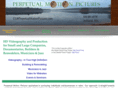 perpetualmotionpictures.com