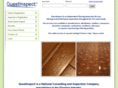 questinspect.com