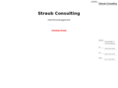 straub-consulting.com