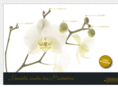 tiziano-design.com
