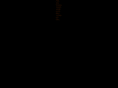 chiaseedtortillas.com