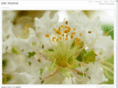 epicphotos.org