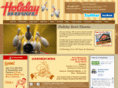 holidaybowlaltoona.com