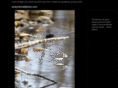 andymitchellphoto.com