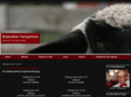 bobendrierhampshires.com
