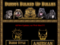 bulkedupbullies.com