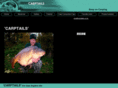 carptails.co.uk