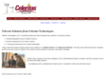 celeritastelecom.com