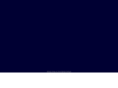 foresitewireless.com