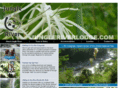 jungleriverlodge.com