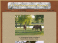 plusoneperformancehorses.com