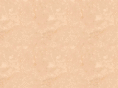 saletex.com