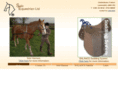 soloequestrian.com