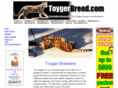 toygerbreed.com