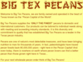 bigtexpecans.com