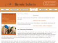 bernieschein.com