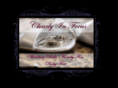 clearlyinfocus.com