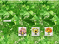 colonialgardensflorist.com