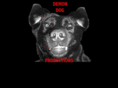 furson.com