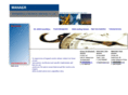 manaer.com