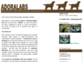 adoralabs.com