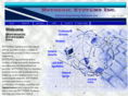 botronicsystems.com