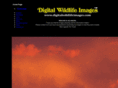 digitalwildlifeimages.com