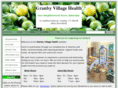 granbyvillagehealth.com